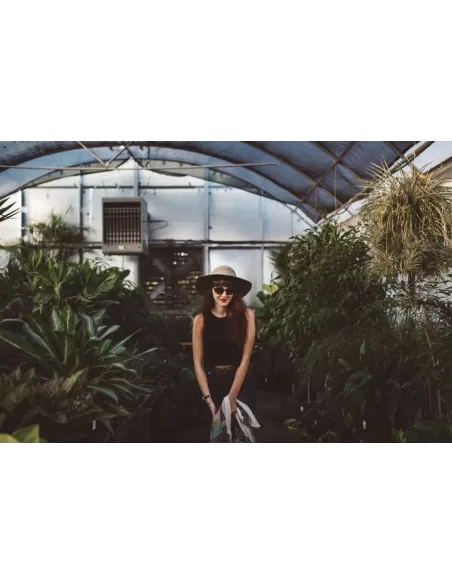 Printed Chiffon Dress