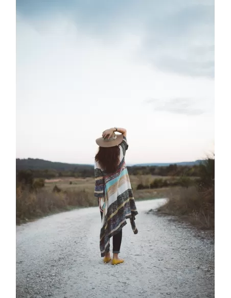 Printed Chiffon Dress